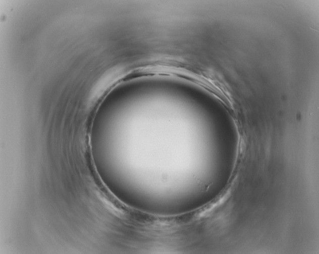 X0000089420101200707061329