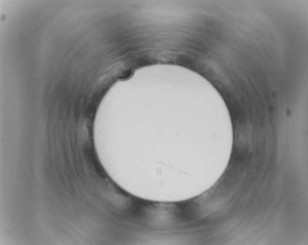 X0000089420128200707061328