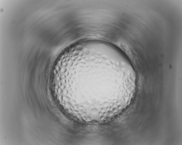 X0000089420145200707061327