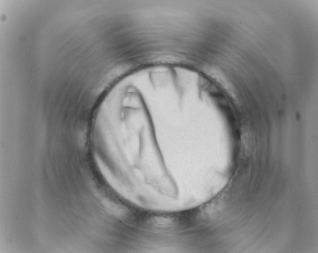 X0000089420159200707061327