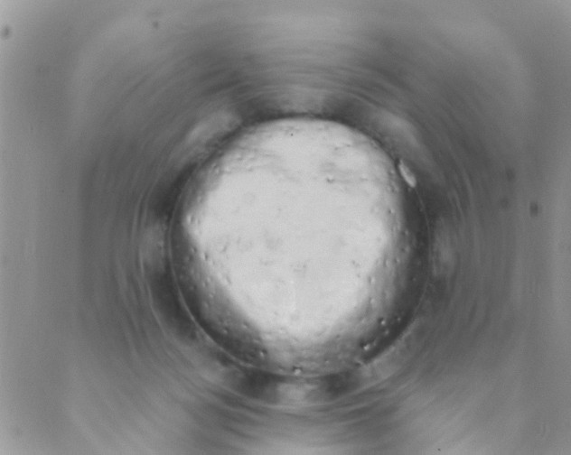 X0000089420172200707061328