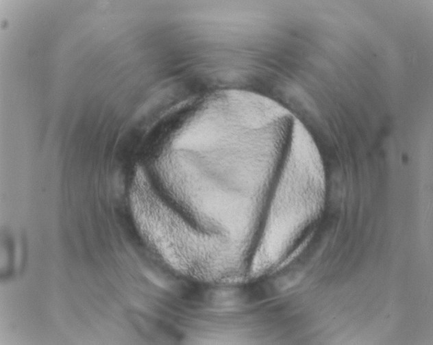 X0000089420173200707061328