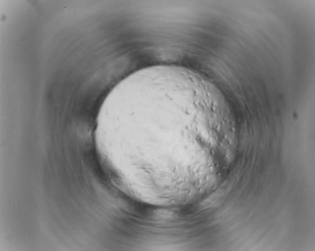 X0000089420176200707061328