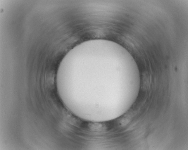 X0000089420230200707061326