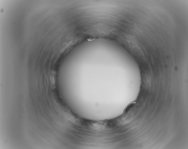 X0000089420232200707061326