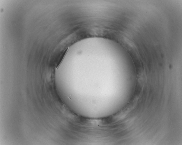 X0000089420233200707061326