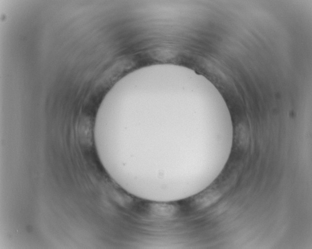 X0000089420234200707061326