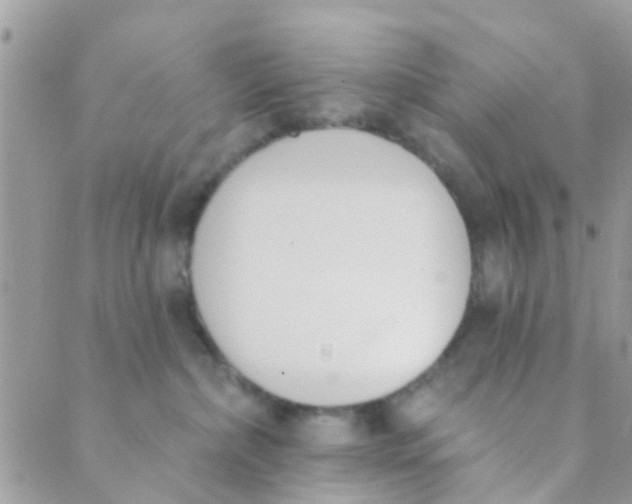 X0000089420236200707061326