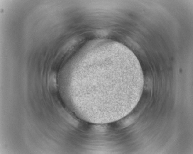 X0000089420238200707061326