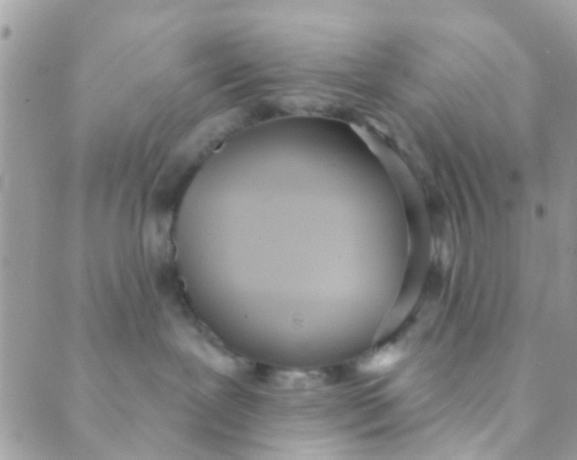 X0000089420239200707061326