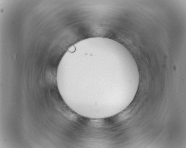 X0000089420240200707061326