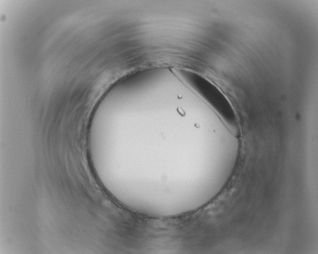 X0000089420241200707061326