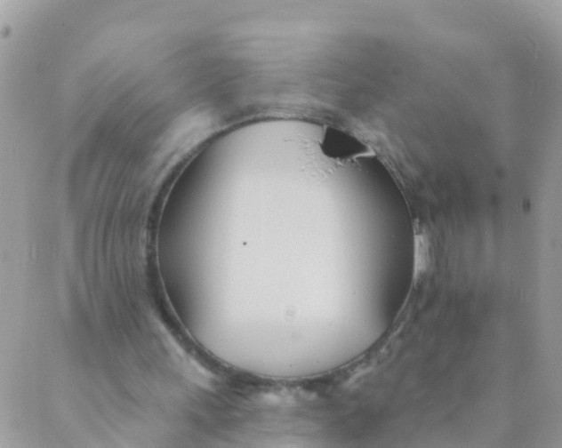 X0000089420243200707061326