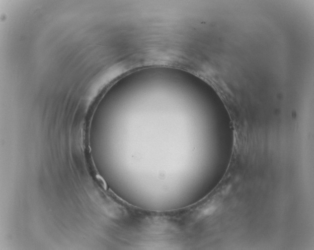 X0000089420244200707061326