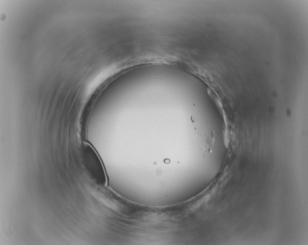 X0000089420246200707061326