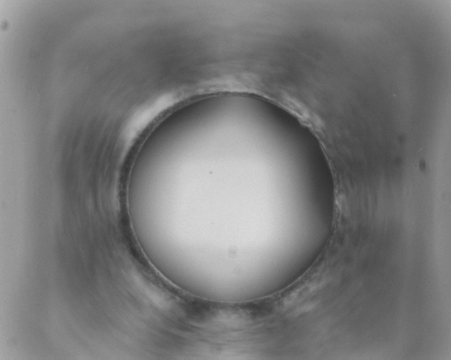 X0000089420248200707061326