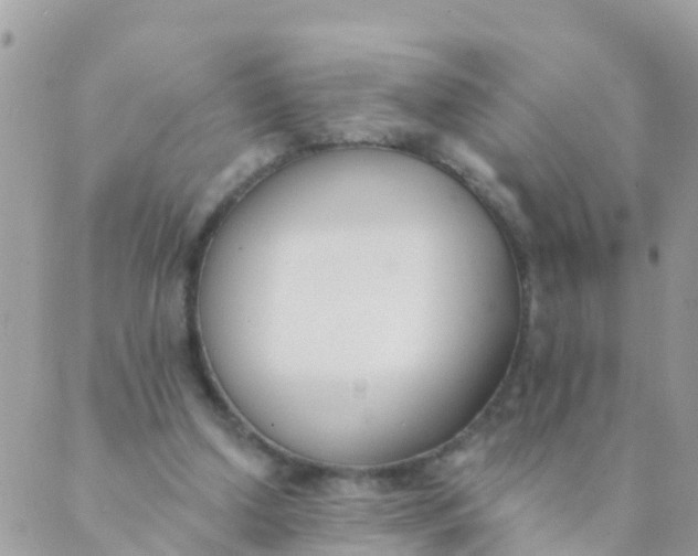 X0000089420250200707061326