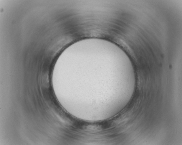 X0000089420251200707061326