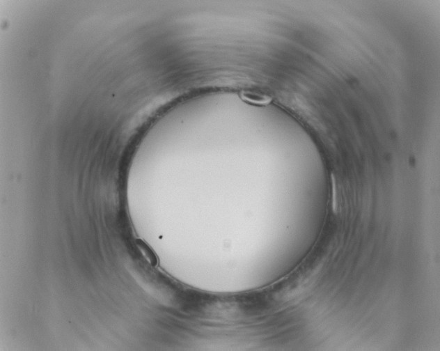 X0000089420252200707061326