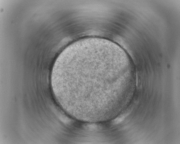 X0000089420253200707061326