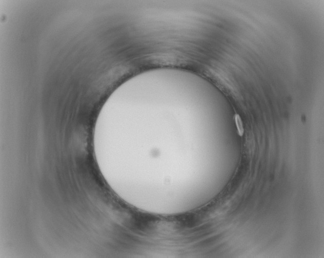 X0000089420255200707061326