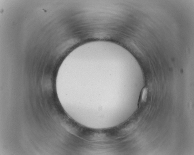 X0000089420256200707061326