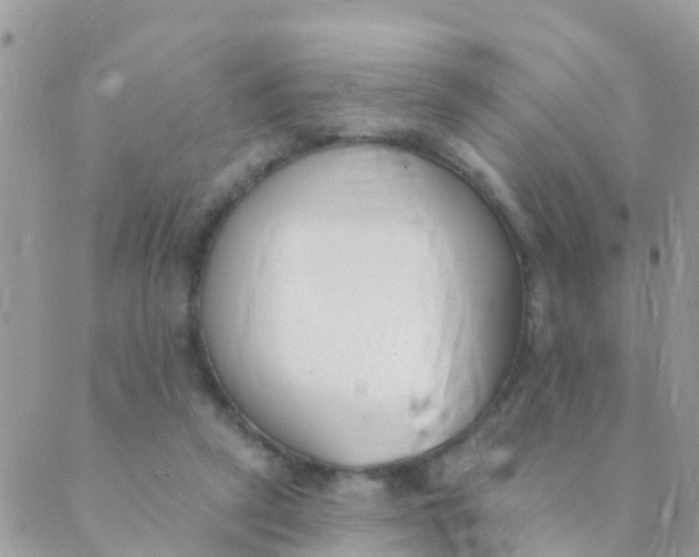 X0000089420257200707061326