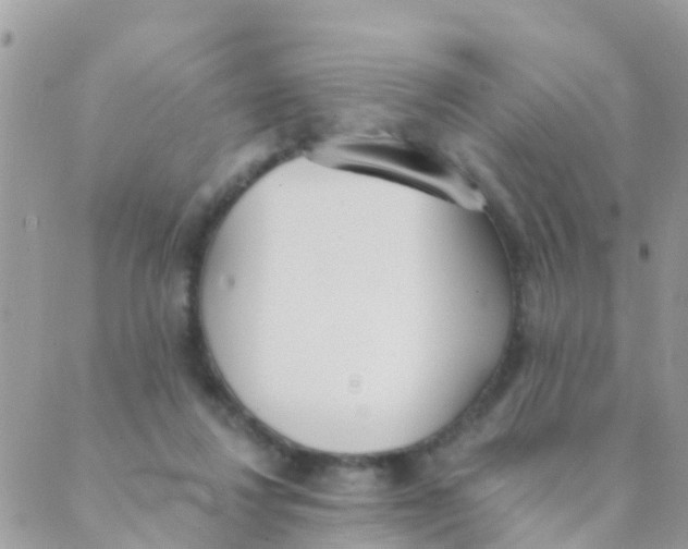 X0000089420260200707061326