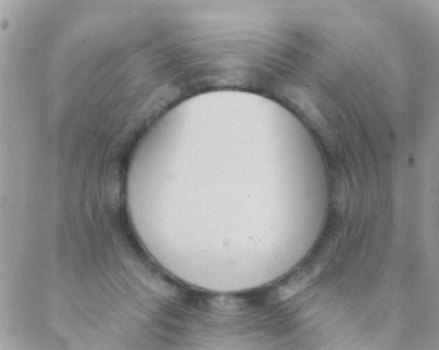 X0000089420261200707061326