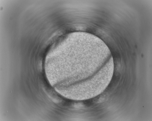 X0000089420262200707061326