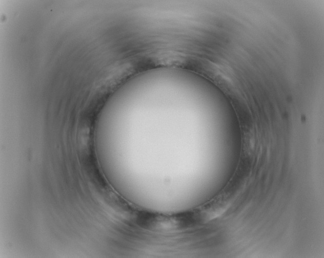 X0000089420263200707061326