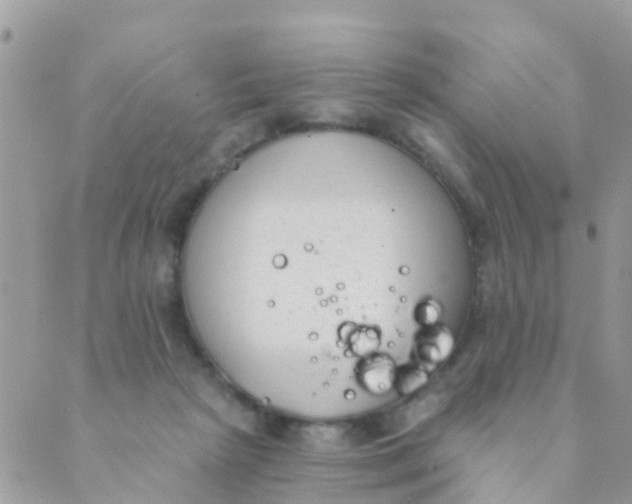 X0000089420265200707061326