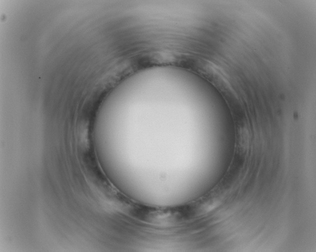 X0000089420267200707061326