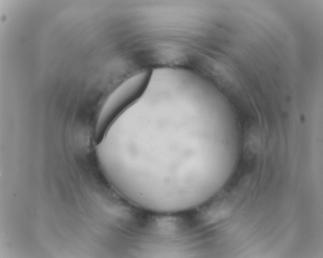 X0000089420268200707061326