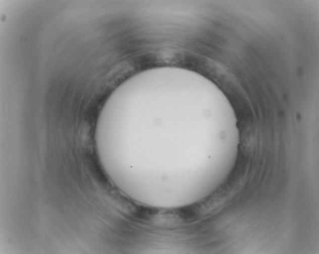 X0000089420270200707061326