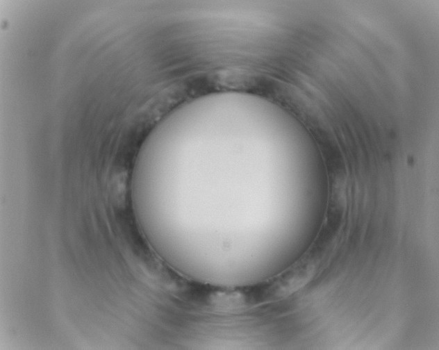 X0000089420271200707061326