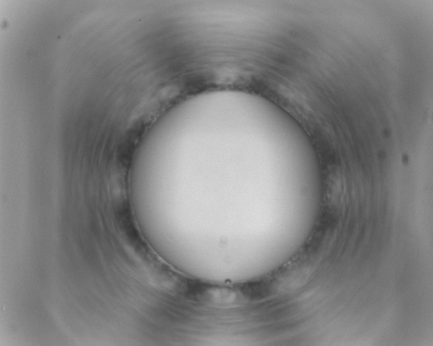 X0000089420272200707061326