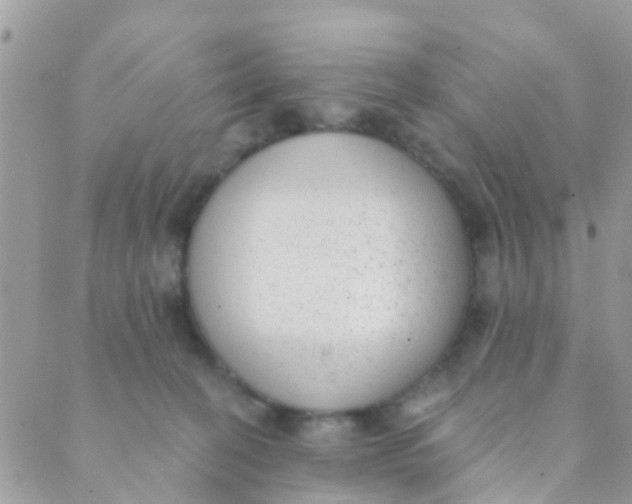 X0000089420274200707061326