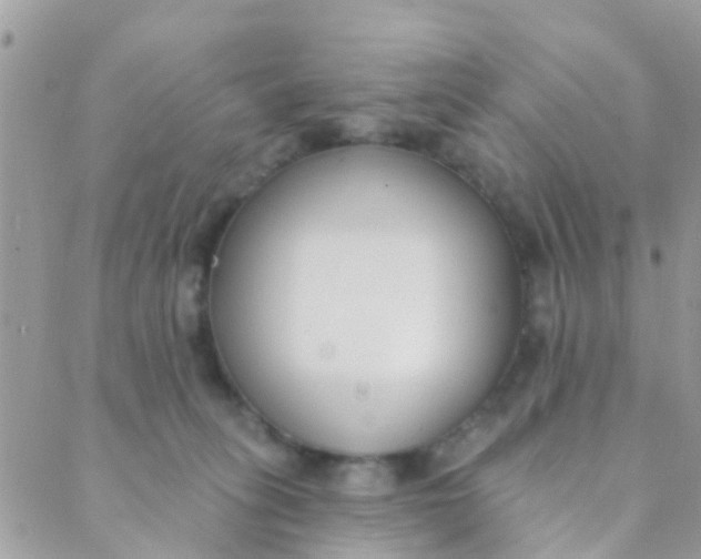 X0000089420275200707061326