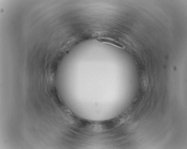 X0000089420276200707061326