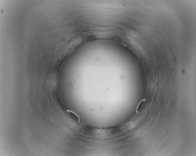 X0000089420277200707061326