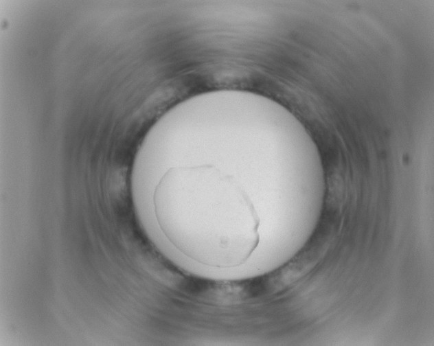 X0000089420278200707061326