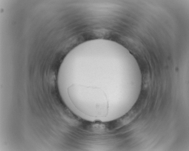 X0000089420279200707061326