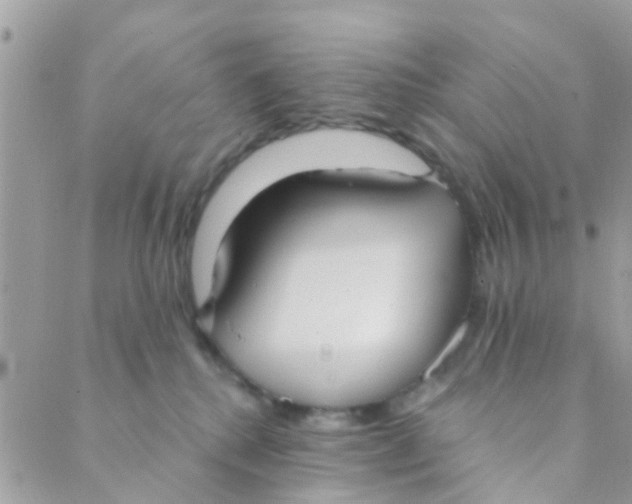 X0000089420280200707061326