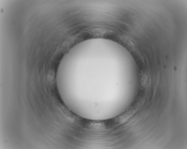 X0000089420283200707061326