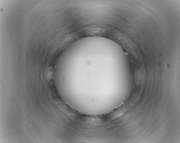 X0000089420284200707061326