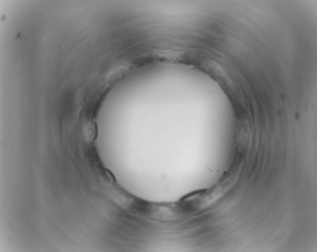 X0000089420285200707061326