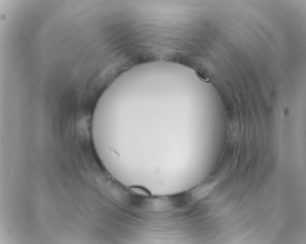 X0000089420286200707061326