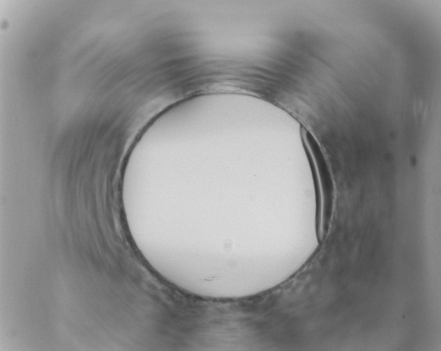 X0000089420289200707061326