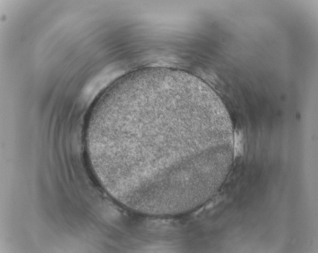 X0000089420291200707061325